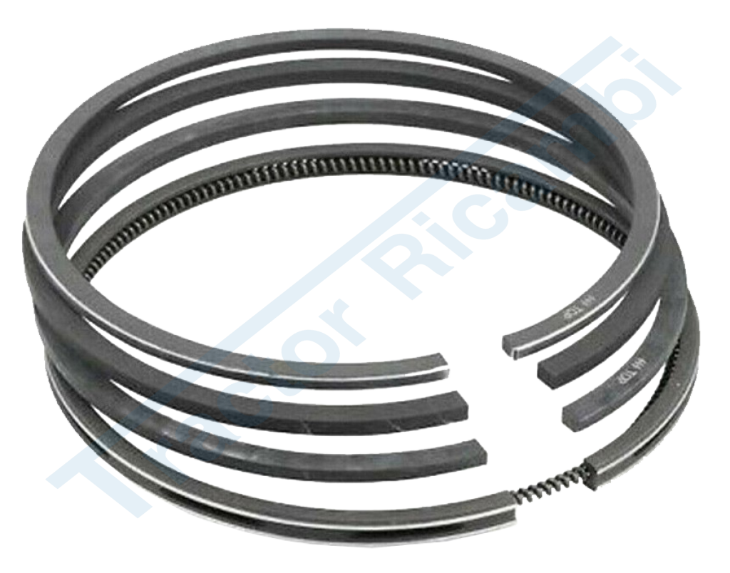 SERIE FASCE ELAST. STD  D.105 mm   