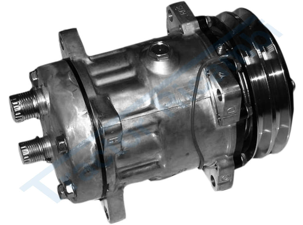 Compressore SANDEN per gas R134