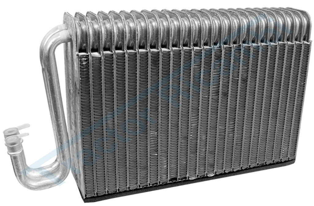 Evaporator for LANDINI