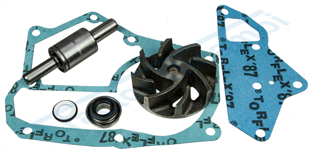 Water pump repair kit