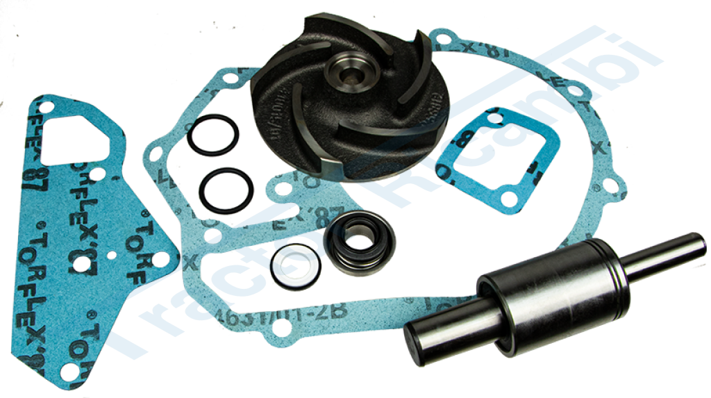 Water pump repair kit