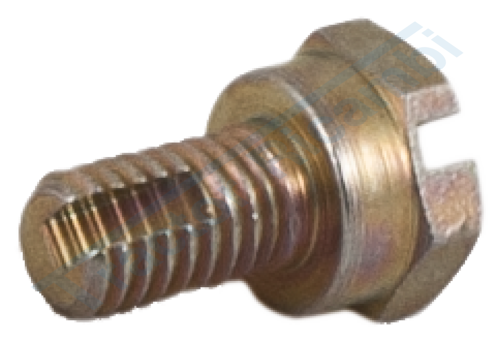 BOSCH BLEED SCREW