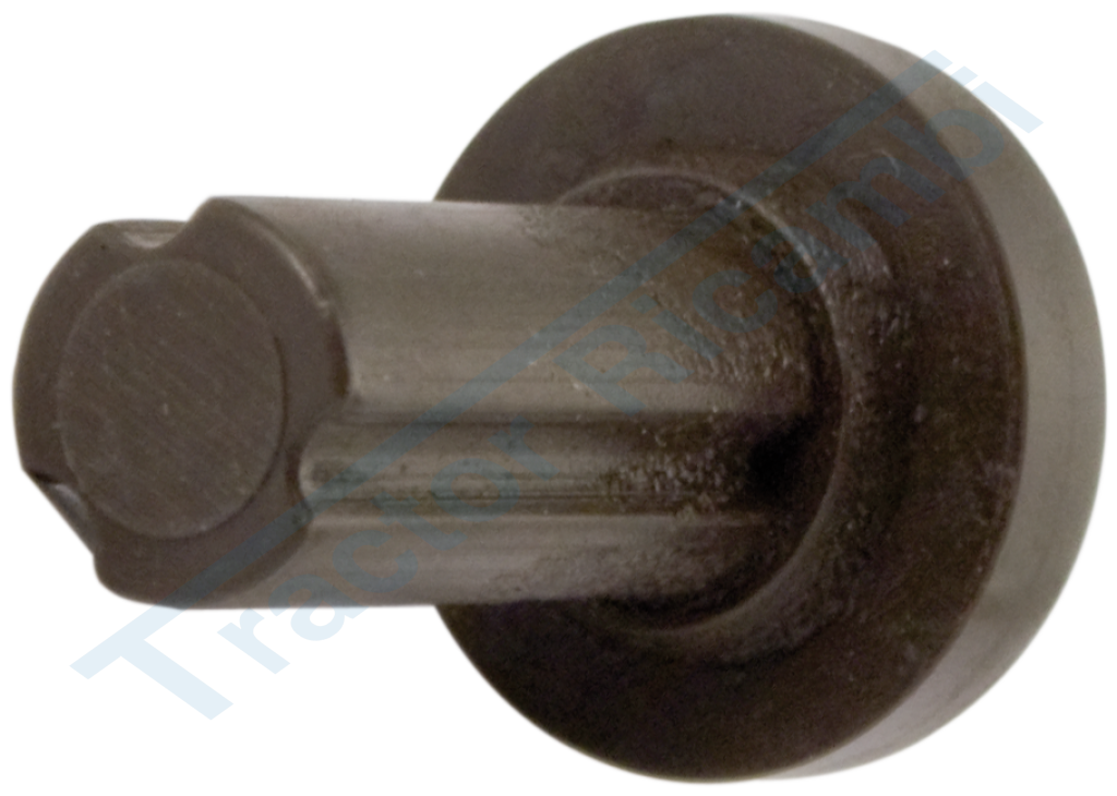 FUEL PUMP VALVE