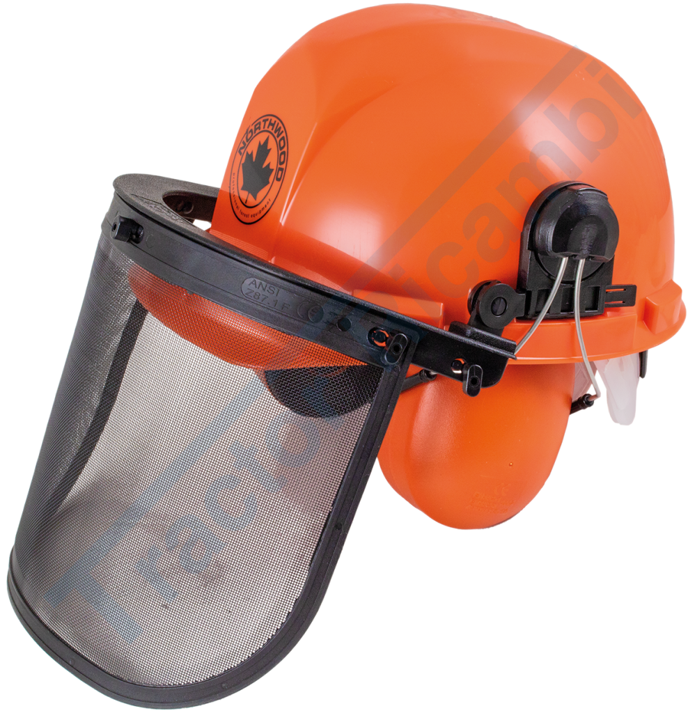 Helmet for forestry work complete with ear muffs and gauze visor