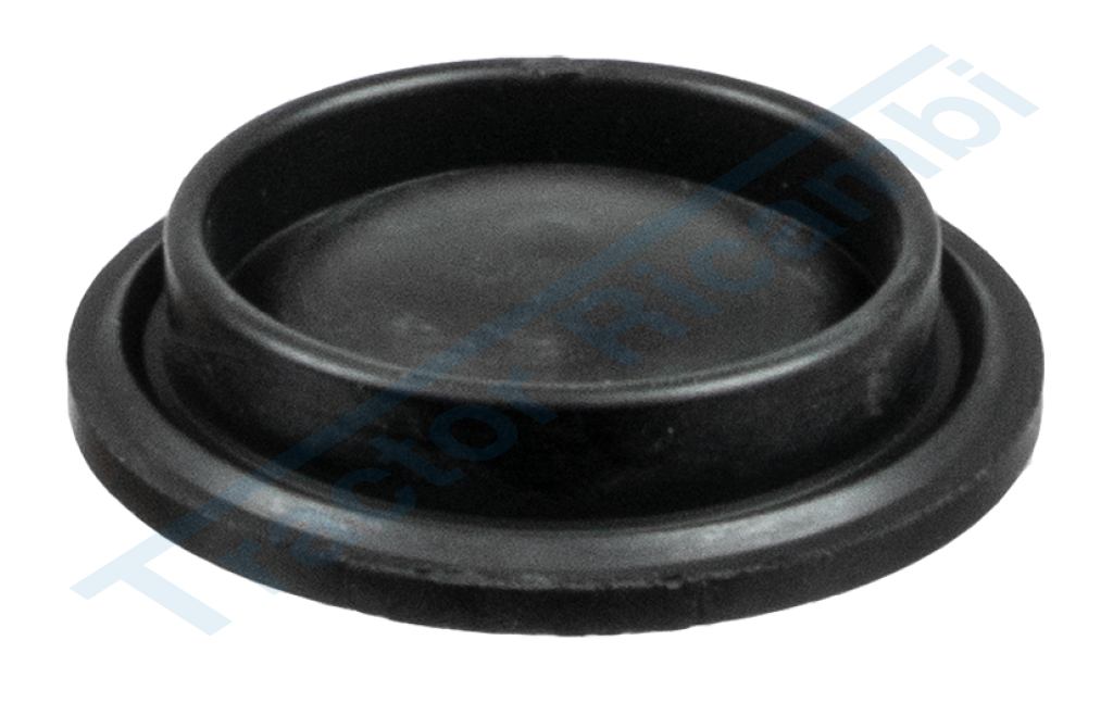 Oil plug diaphragms for Comet pumps