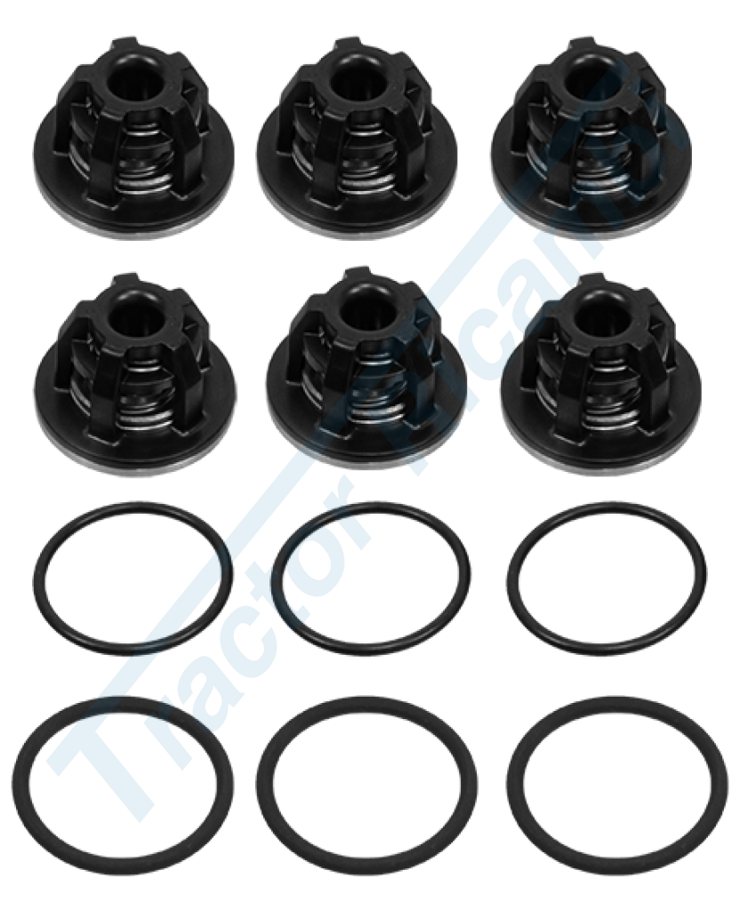 Valve group kit (suction – delivery)