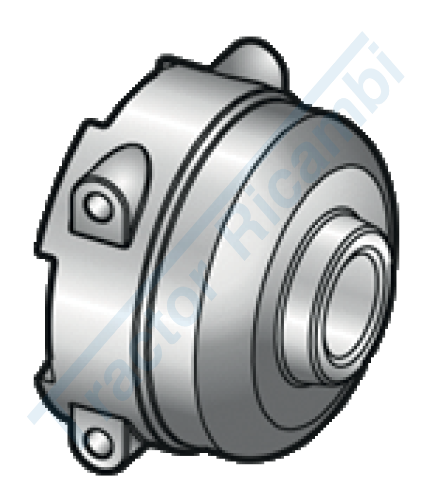 raccordo femm.portamanometro G 1/4