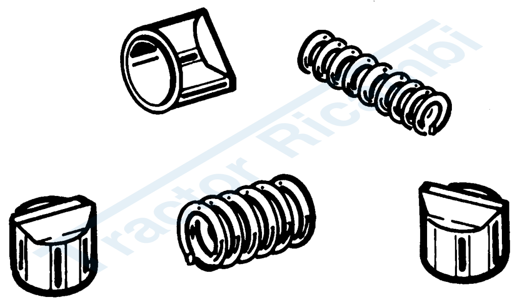 Nottolini con molle interne ed esterne per Walterscheid (8 nottolini)