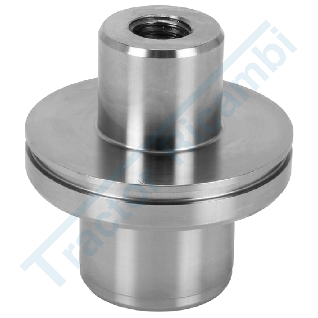 Steering knuckle pin LANDINI
