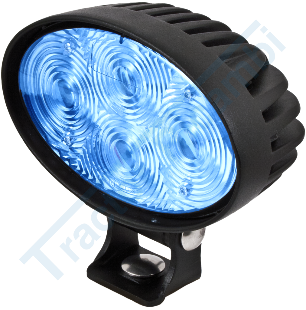 10÷50V 300 lumens blue LED spot adjustable work light