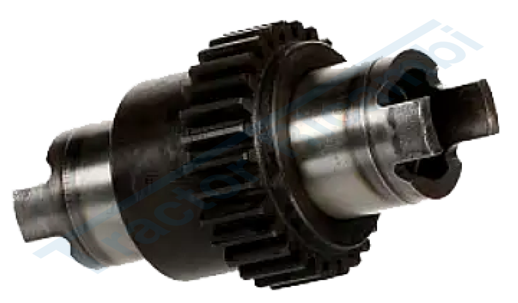 Albero  Z.29