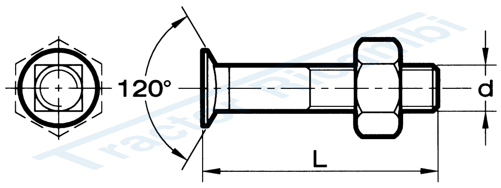 Plough bolt with reduced and countersunk head with underhead square