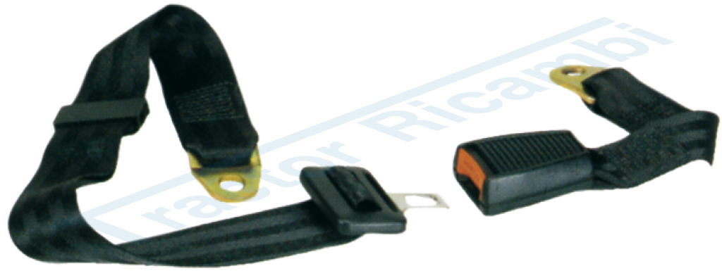 SEAT BELTS WITH FIXED 2-POINT CONNECTION