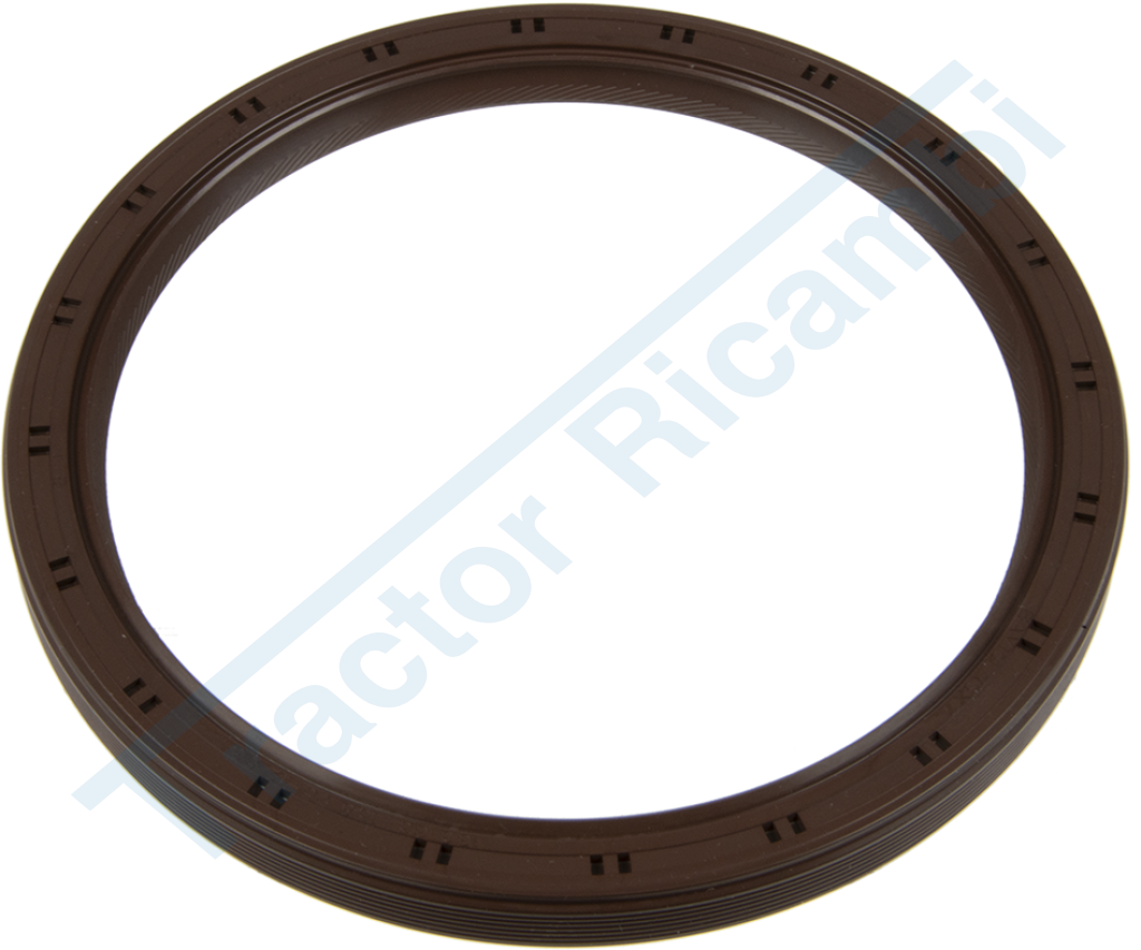 Oil Seal Ring