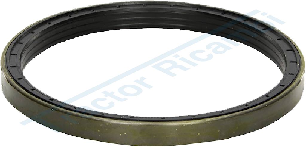 Oil Seal Ring