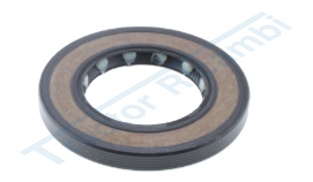 Anello paraolio