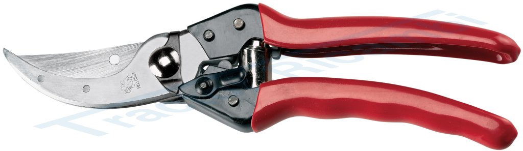 VINE PRUNING SHEARS