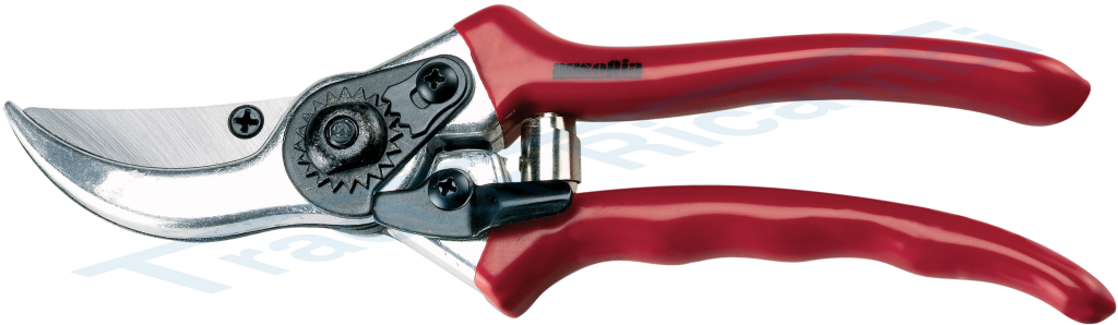 VINE PRUNING SHEARS