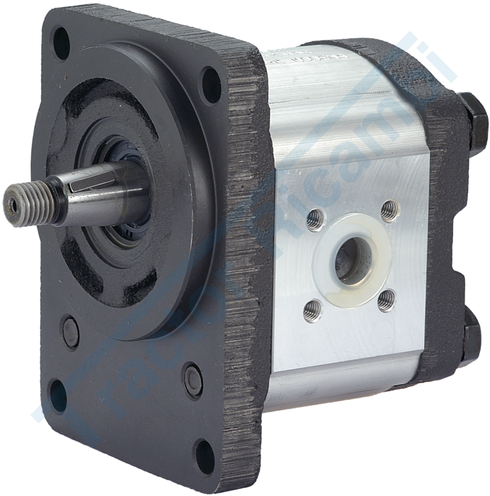 Gear pump GROUP 2