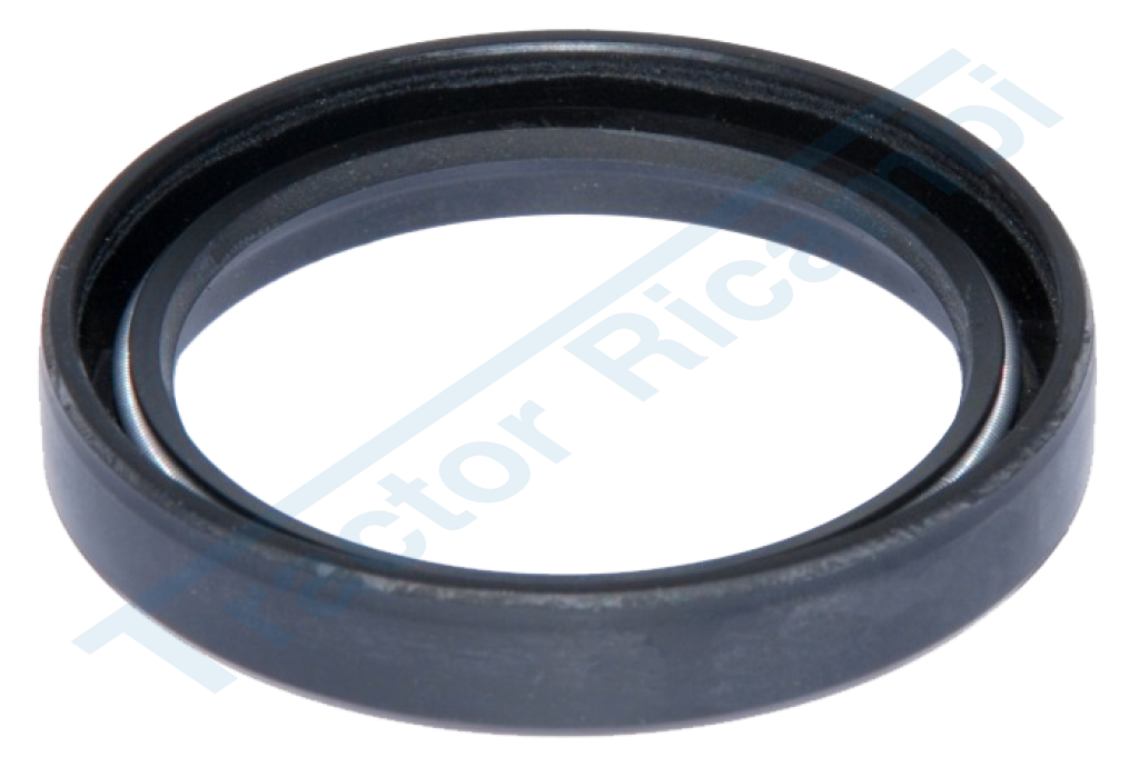 Oil seal