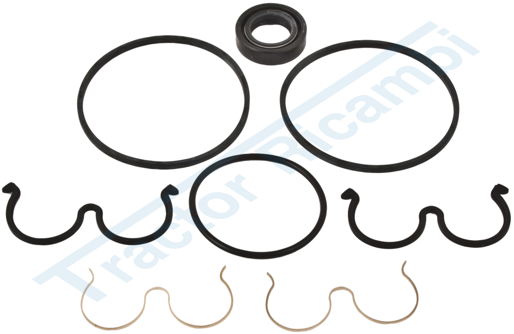 Gasket kit for PLP30 pumps