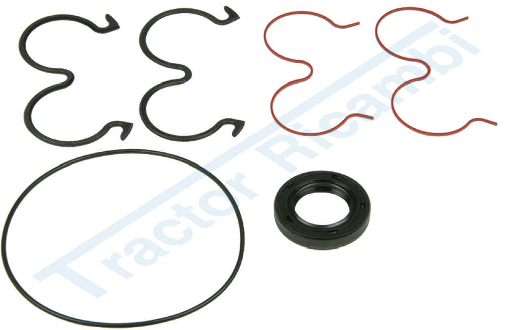 Gasket kit for KP20 pumps