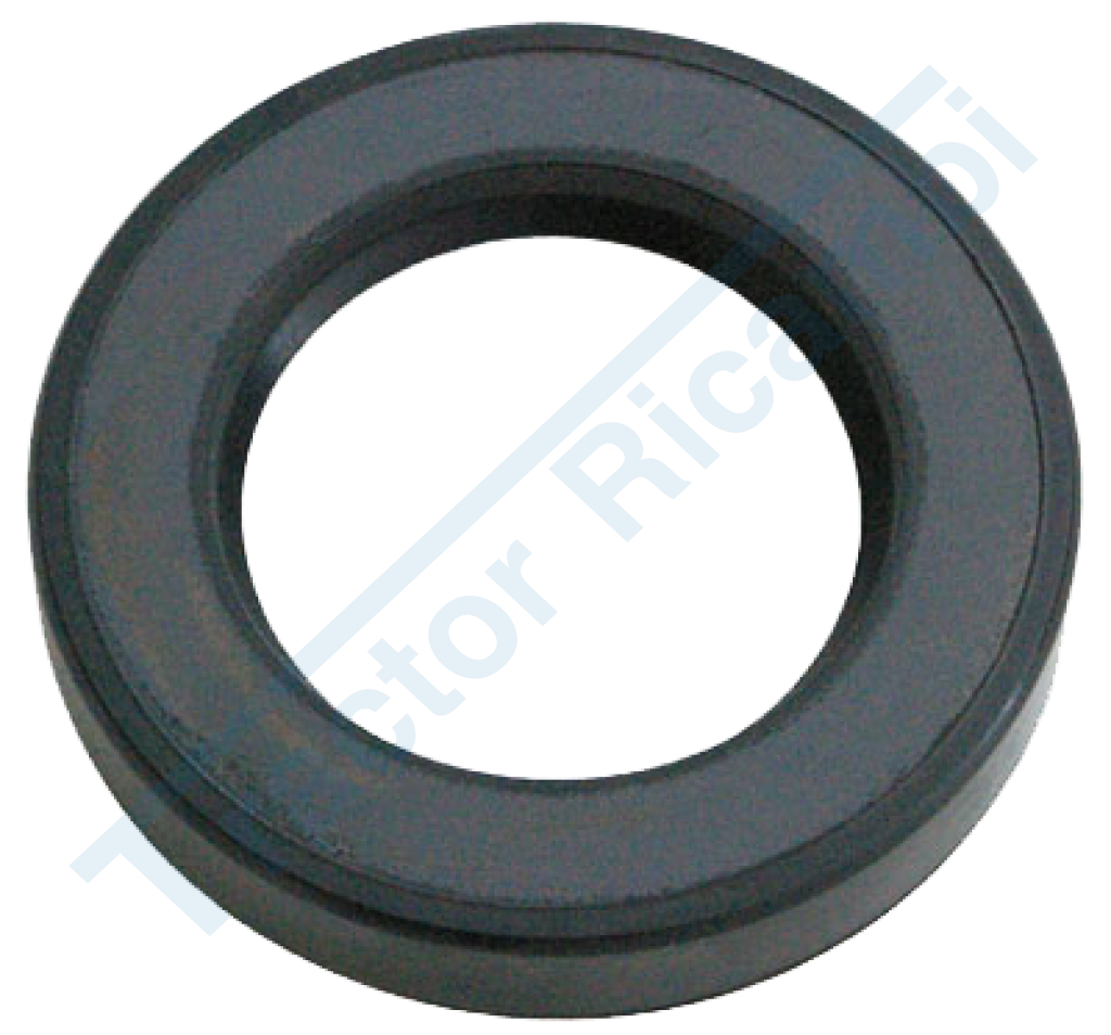 paraolio 47.7x79.8x12.6            