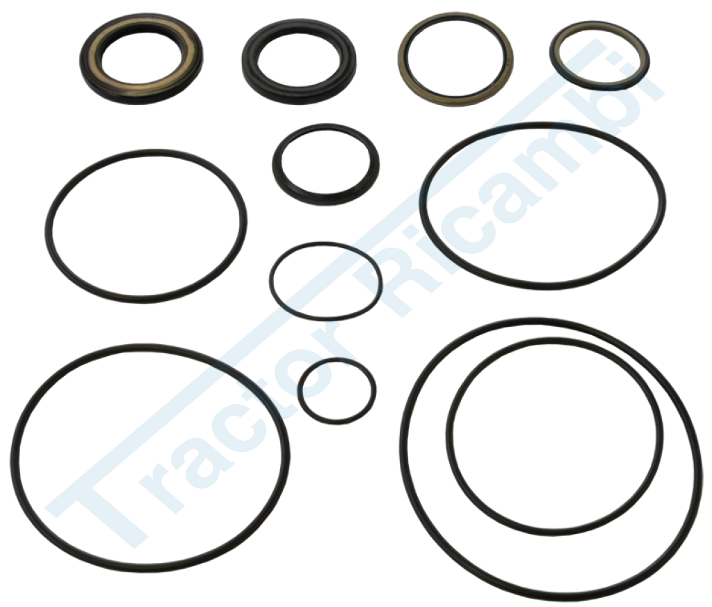 Serie guarnizione per motore OMS   