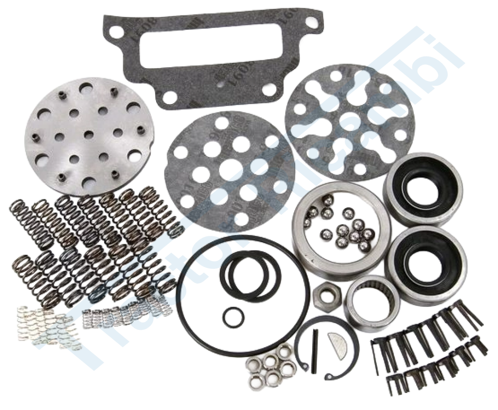 Kit revisione pompa idraulica