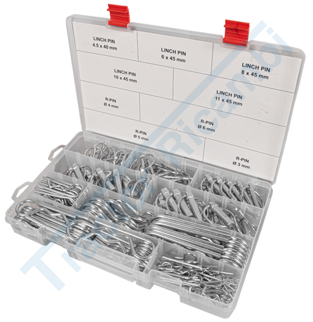 Assortimento spine e coppiglie