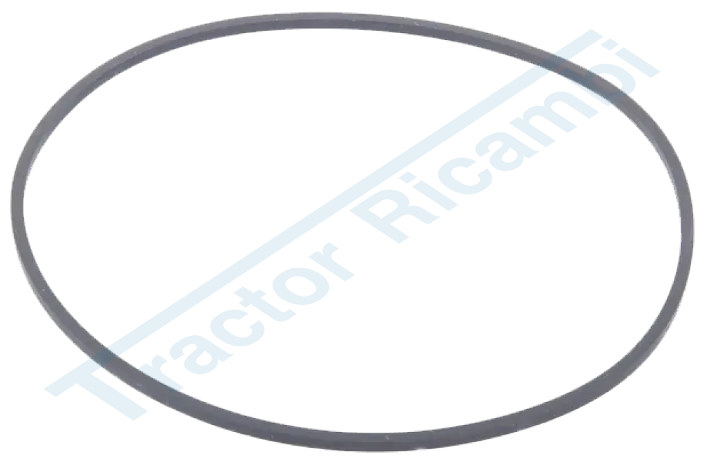 anello quad-ring 169,2x3,5         