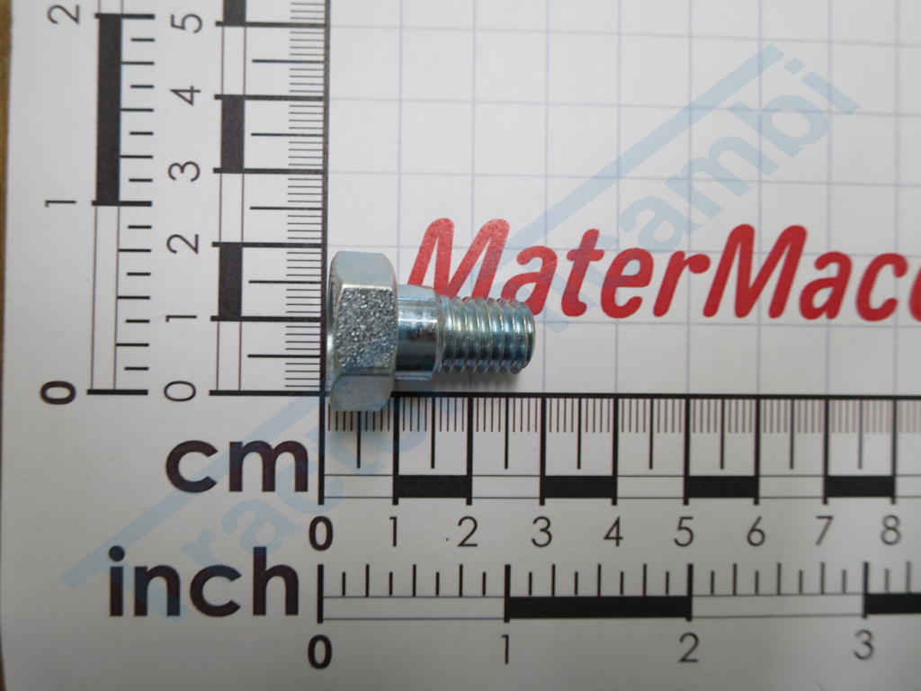 vite M.12 es.17 per ingrassatore