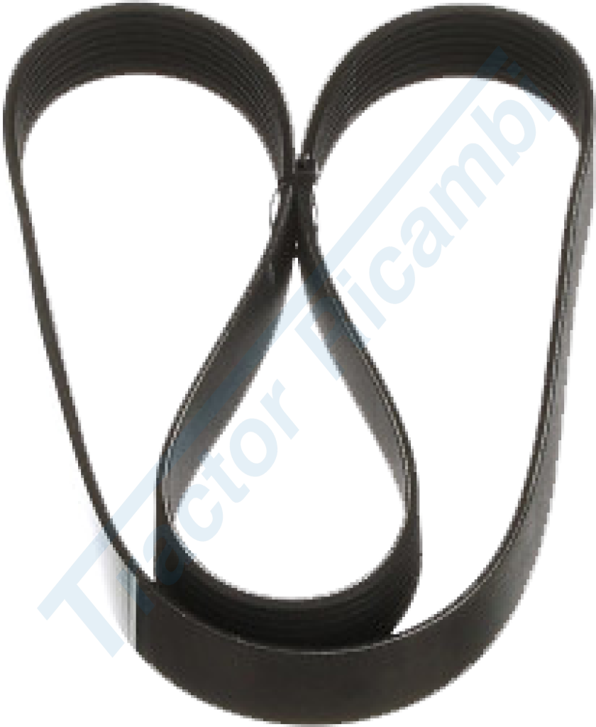 cinghia di trasmissione principale L 1425 mm