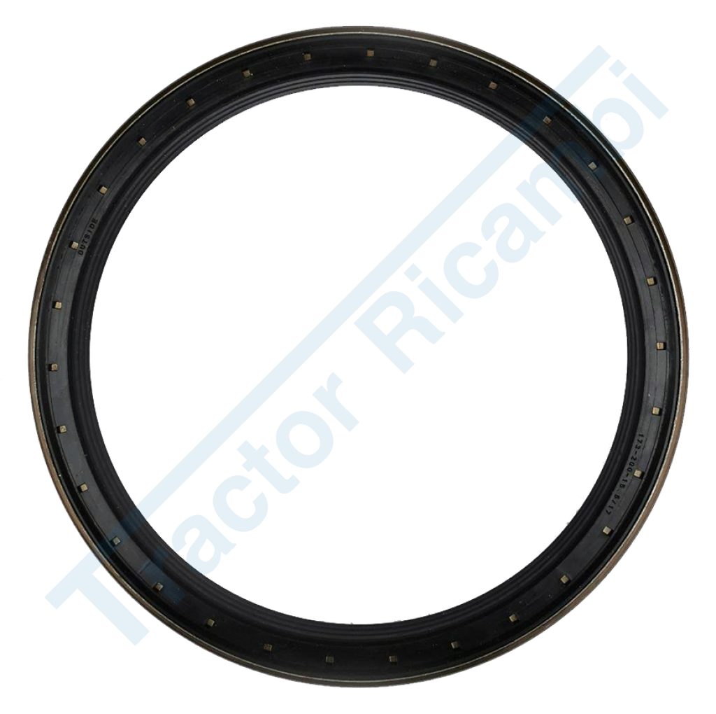 anello tenuta speciale 170x200x17
