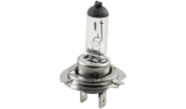 1-light bulb