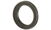 Anello paraolio