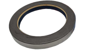 Anello paraolio