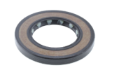 Anello paraolio